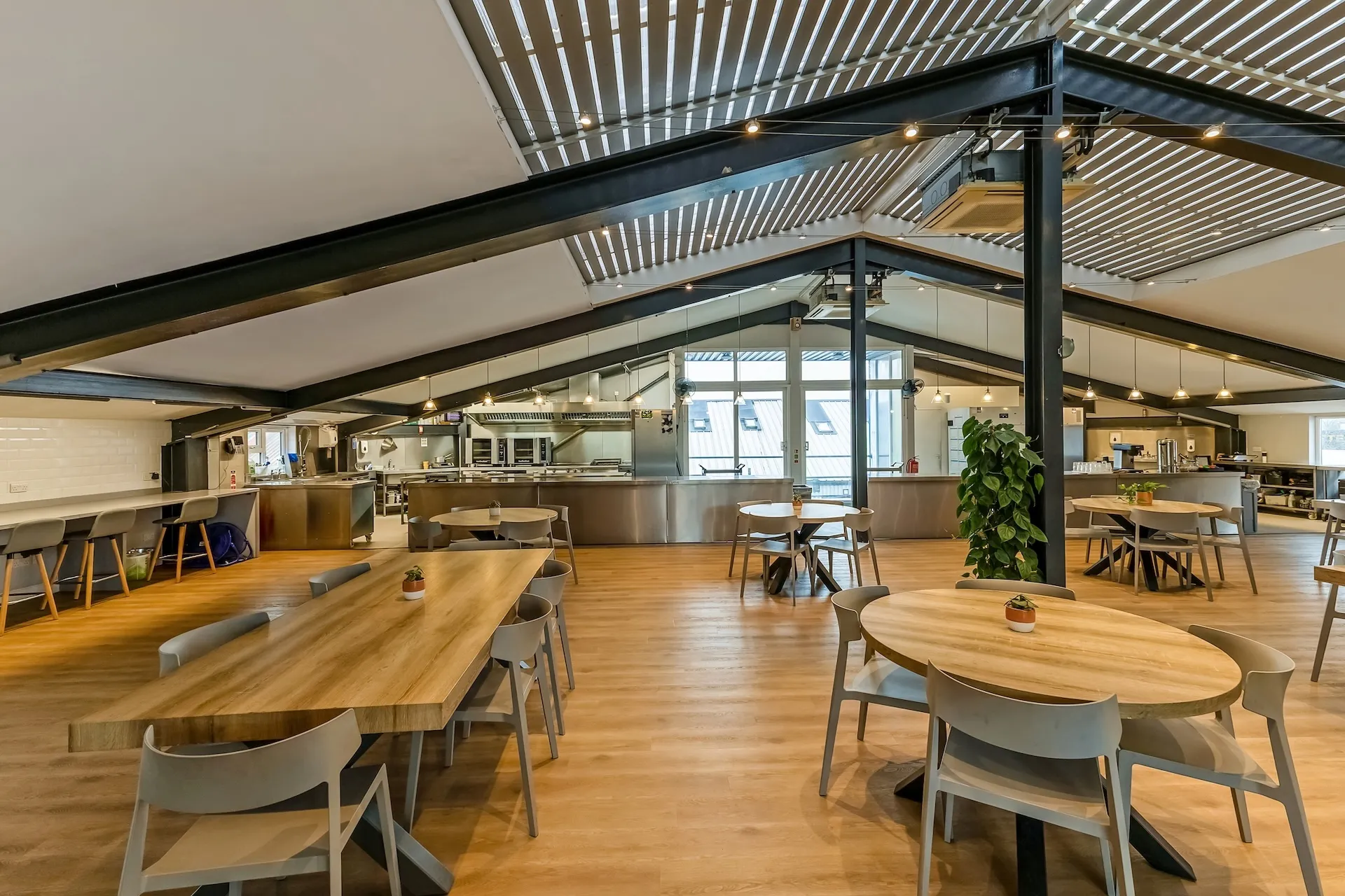 Malcolm Ryan Studios – Restaurant – Landscape – 02